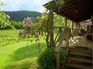 Gatekeeper's Cottage expensive verandah with views across our vineyards Cedar Creek Cottages, Wollombi Accommodation