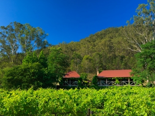 Our Farm Cottages – Gatekeeper’s, Gardener’s and Timbercutter’s – set on the edge of our vineyards Cedar Creek Cottages, Wollombi Accommodation