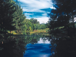 Explore the creek banks Cedar Creek Cottages, Wollombi Accommodation