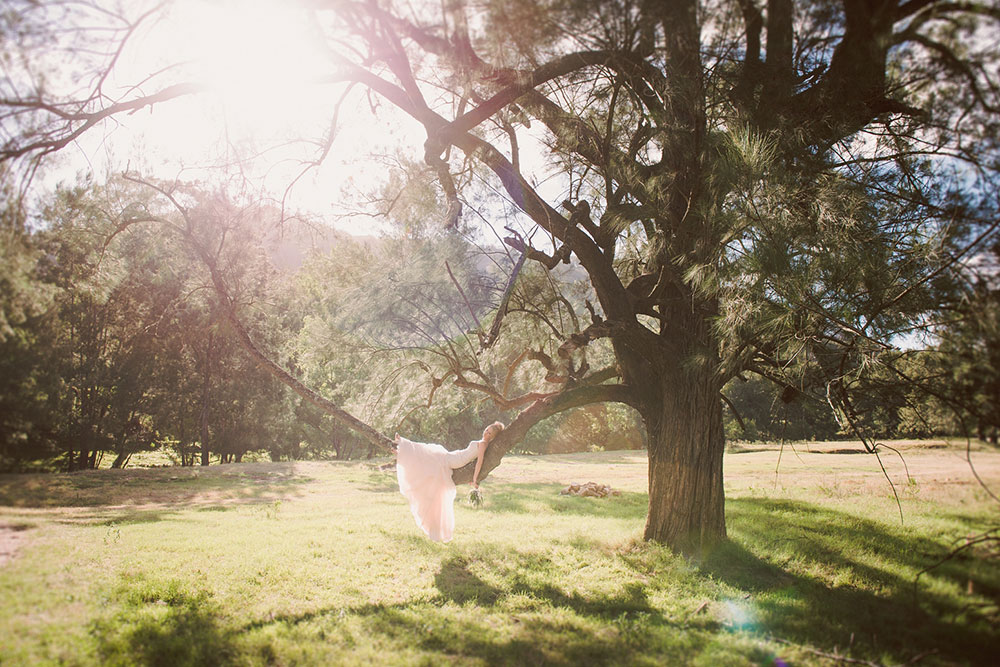 Relax in our 100-year old Sheoak tree Stonehurst Cedar Creek, Hunter Valley Wedding Venues