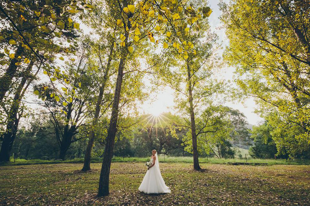 An autumn wedding with golden hues Stonehurst Cedar Creek, Hunter Valley Country Wedding