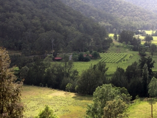 Enjoy mountain walks overlooking the property Cedar Creek Cottages, Hunter Valley Cottages
