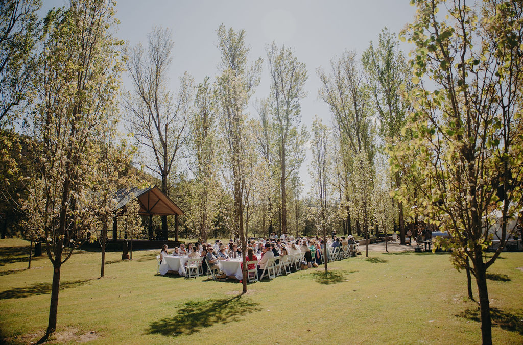 Long Table Lunch in the pear grove