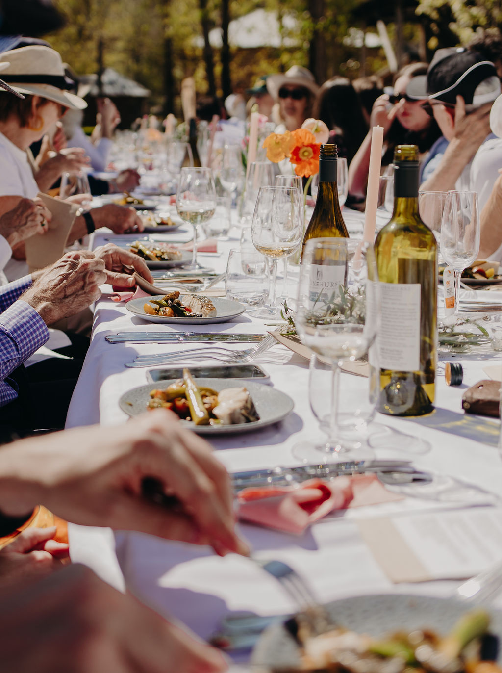 Long Table Lunch dining